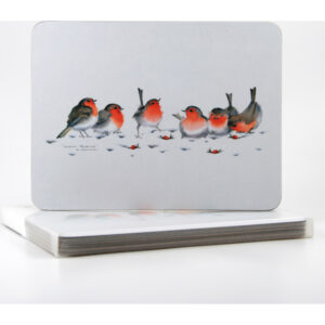 Winter Robins Place Mats. Box of 4 (M46)